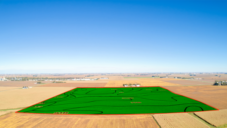 Soil Overlay (2)