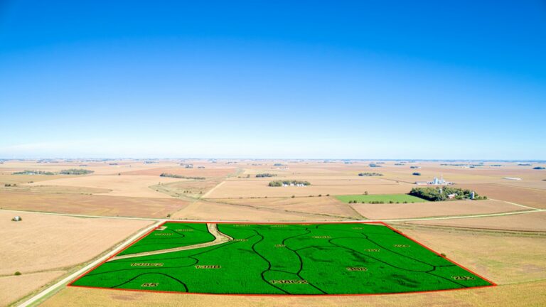 Soil Overlay Photo