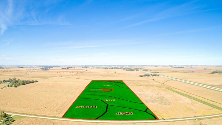 T1 Soil Overlay