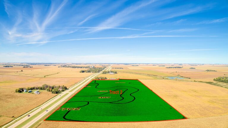 T2 Soil Overlay
