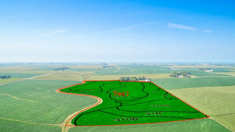 Tract 2 Soil Overlay