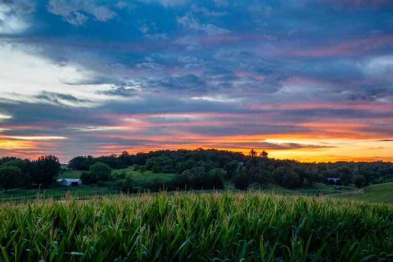 Sunset over rural Midwest farmland with cornfields, trees, and farm buildings.