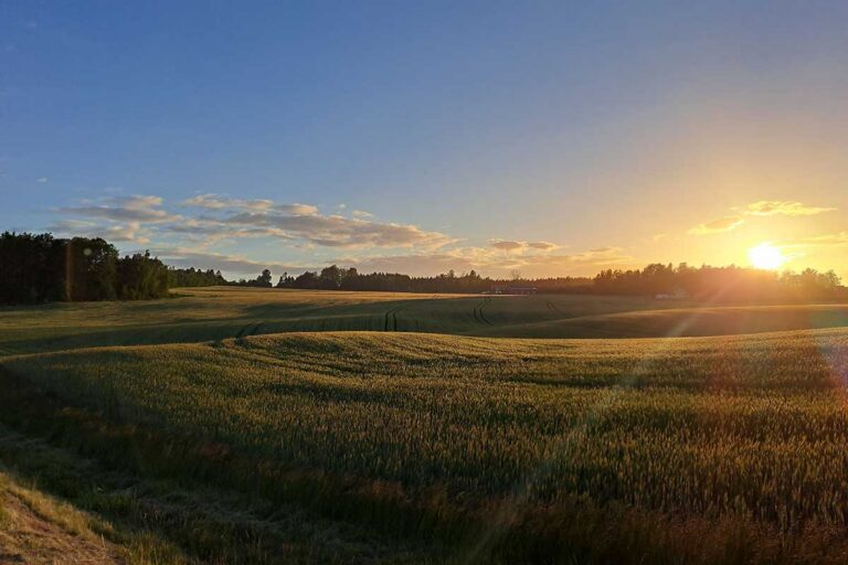 Sunrise over rural Iowa farmland